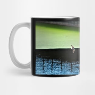 Swallow Flying Across Lake Bird Wildlife Spring Mug